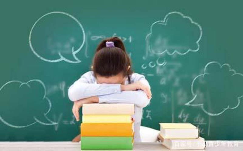 问题少年特训营：一场成长的蜕变之旅